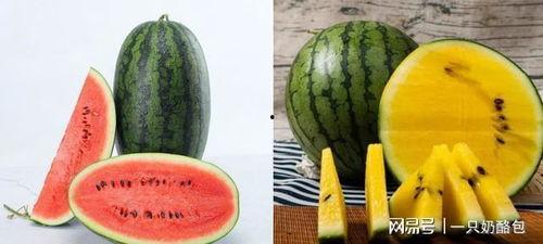 大瓜小瓜吃瓜,吃瓜群众欢乐多