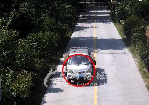 吃瓜跳车,揭秘网络舆论的狂欢与反思