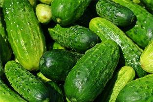 梦见铲地吃瓜,铲地吃瓜的奇幻之旅