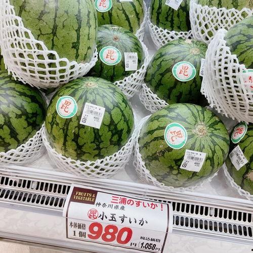 日本吃翔吃瓜,吃翔吃瓜，揭秘独特饮食文化