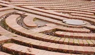 吃瓜阿姆斯特丹,吃瓜阿姆斯特丹的趣味之旅