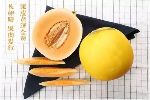 金红宝密瓜怎么吃,金红宝密瓜的多样食法探索