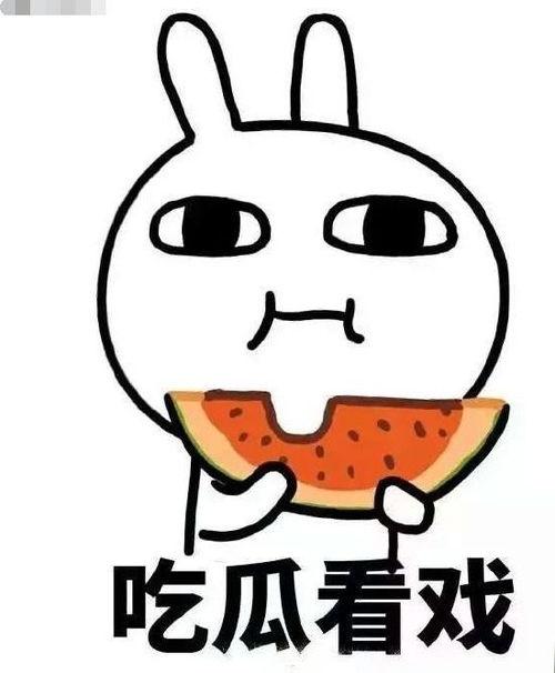 阿呆吃瓜699,揭秘网红美食背后的故事