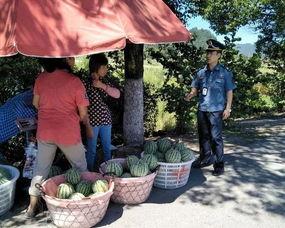 临泉吃瓜群众,揭秘当地生活百态
