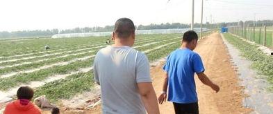 吃瓜大壮小壮,吃瓜大壮与小壮的欢乐日常