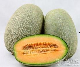 山猪吃哈密瓜,一场自然与美食的邂逅