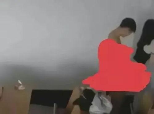 上海大学的吃瓜事件,校园舆论风波背后的真相探寻