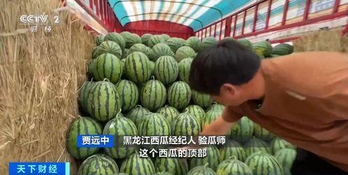 幽兰吃瓜,揭秘娱乐圈那些不为人知的幕后故事